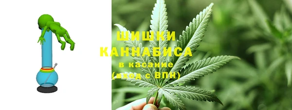 дмт Алзамай