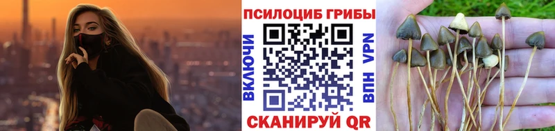 Галлюциногенные грибы мухоморы Юрьев-Польский